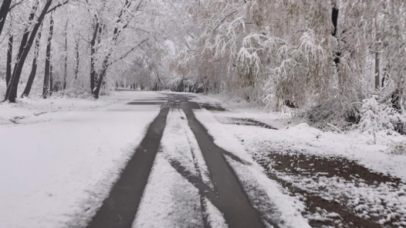 Río Negro y Neuquén se cubrieron de nieve y Mendoza espera agua nieve y lloviznas